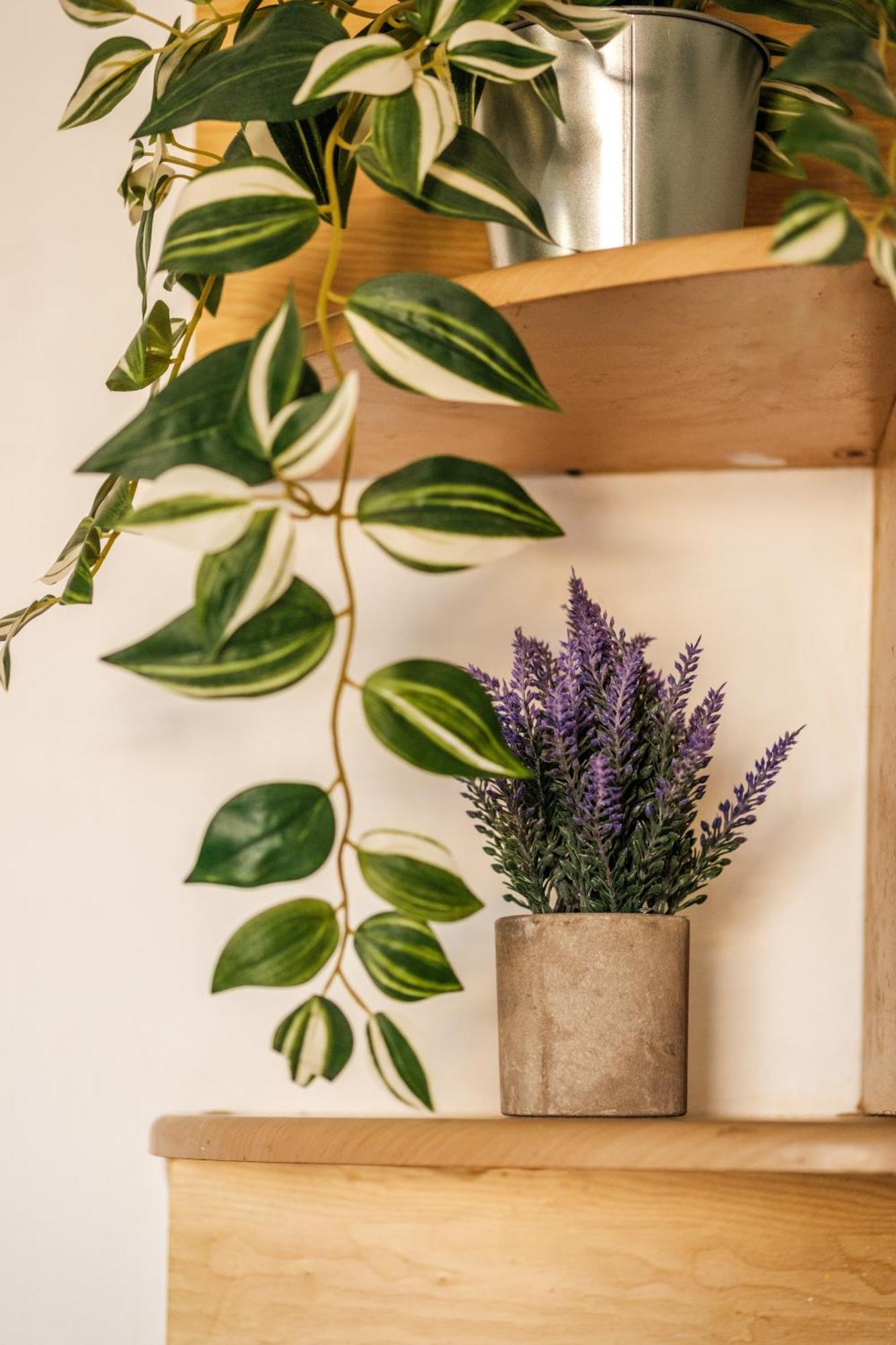 Serenityone - Centrally Located One Bedroom Apt Αγία Νάπα Εξωτερικό φωτογραφία